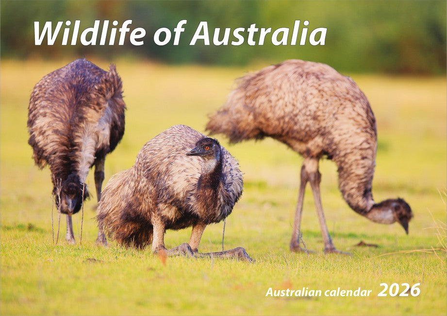 2026 Wildlife of Australia Wall Calendar