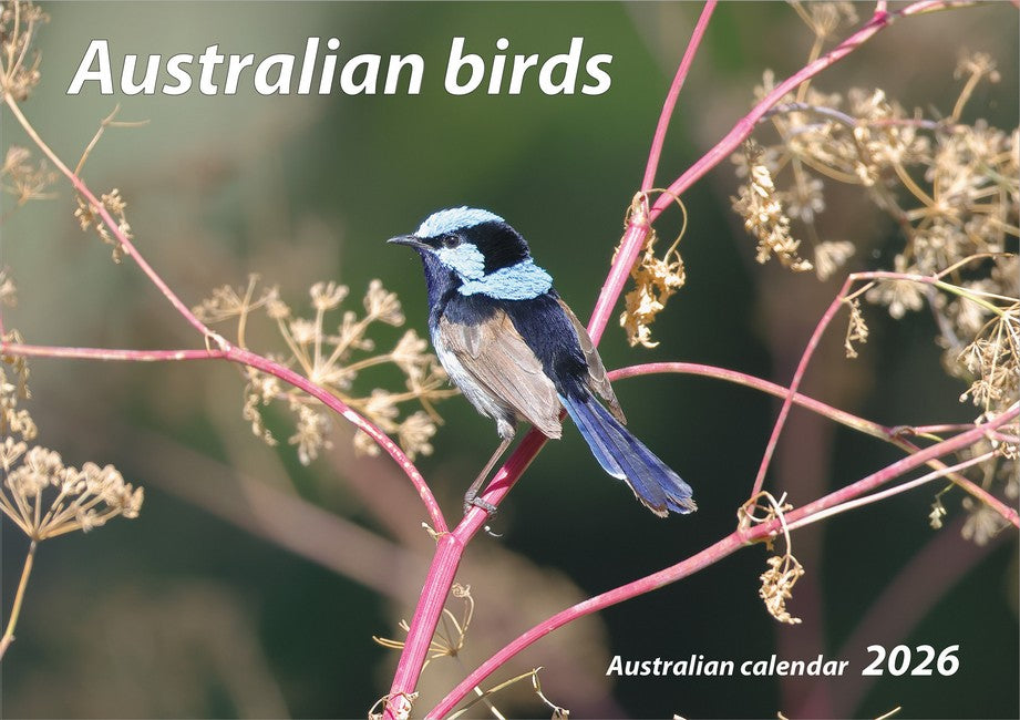 2026 Australian Birds Wall Calendar