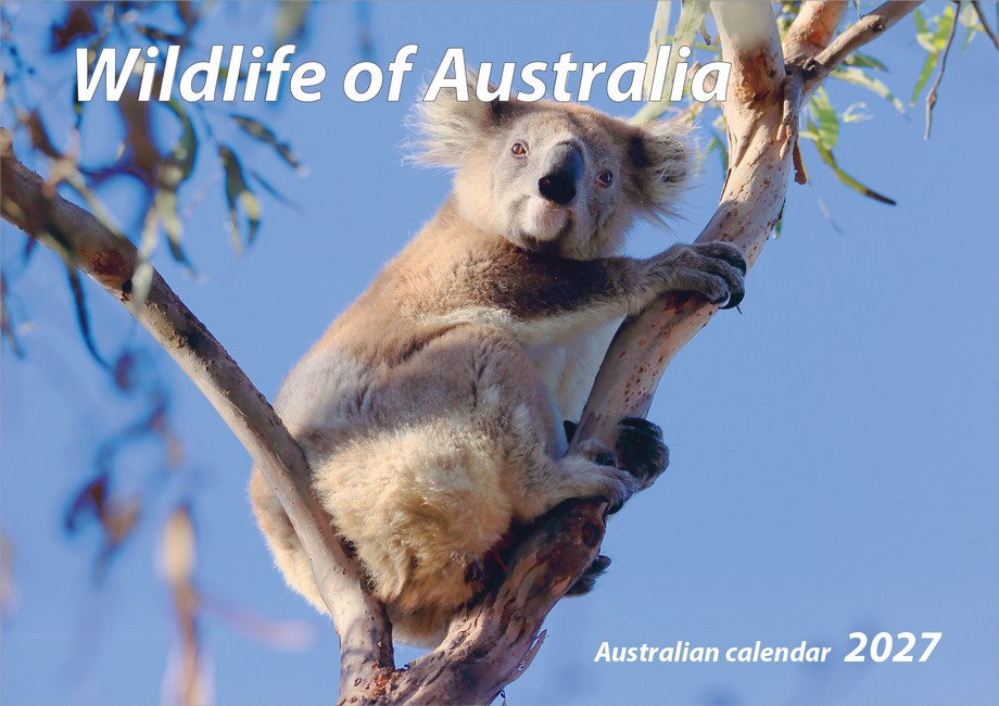 2027 Wildlife of Australia Wall Calendar