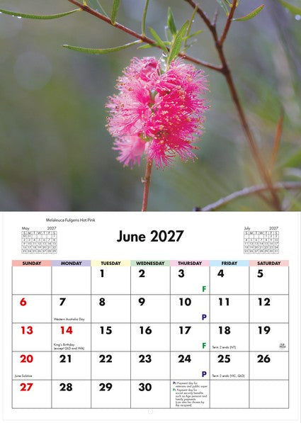 2027 Flora of Australia Wall Calendar