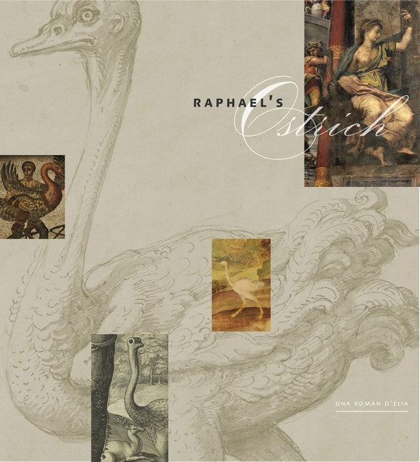 Raphael's Ostrich