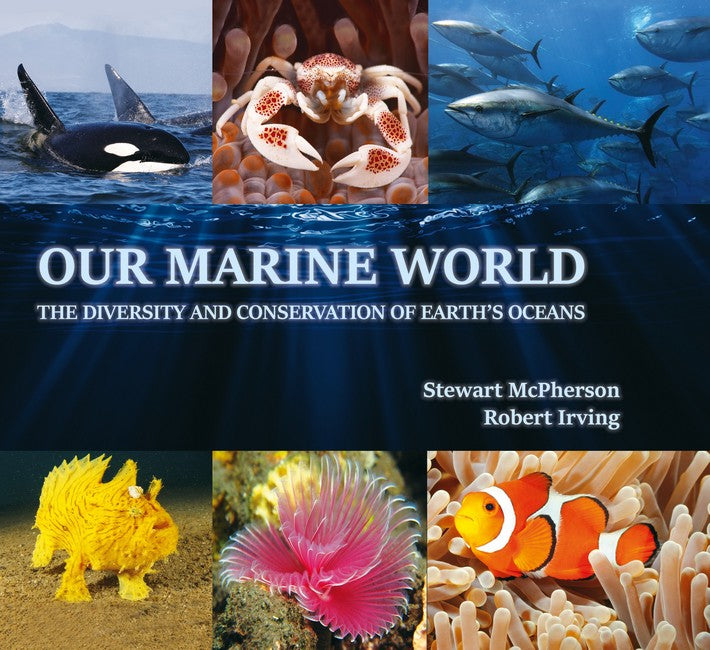 Our Marine World