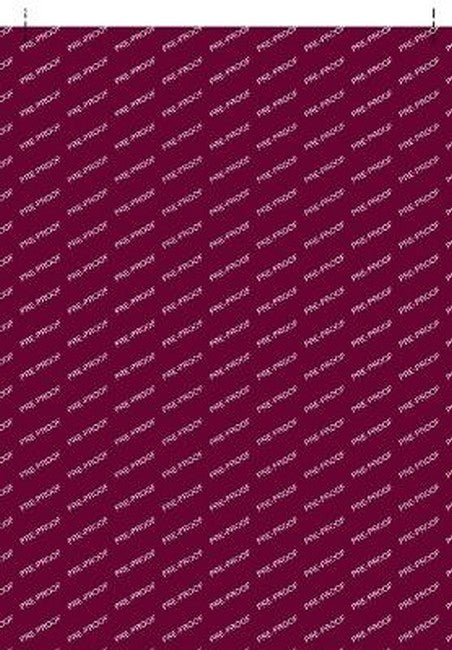 The Roman Self in Late Antiquity