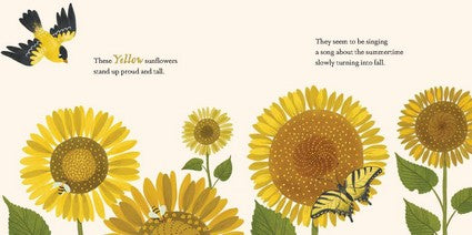 Consider the Lilies