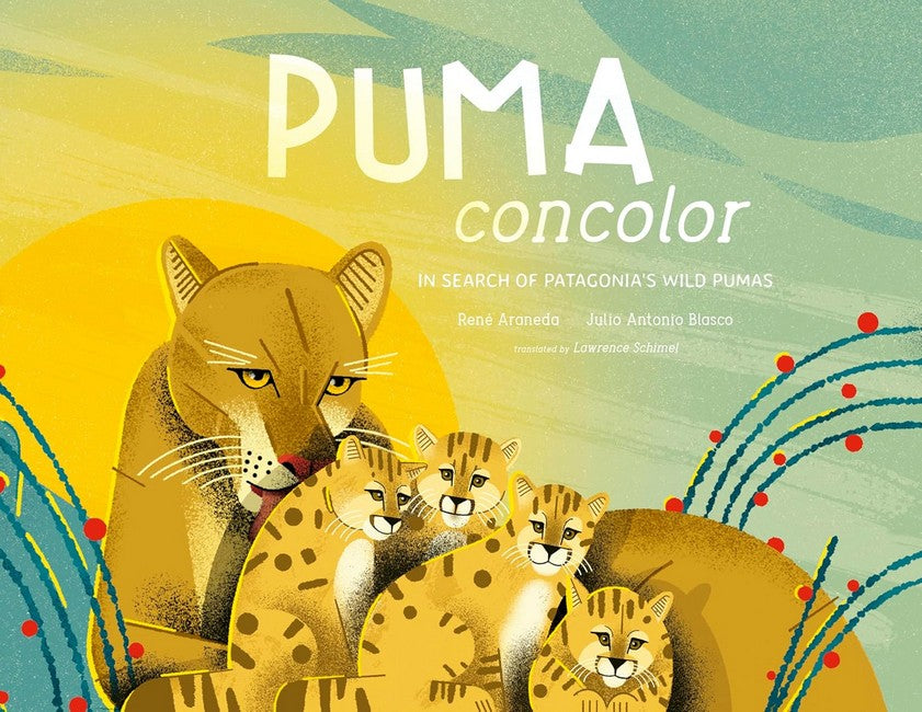 Puma Concolor