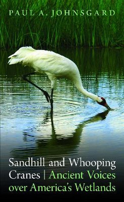 Sandhill and Whooping Cranes