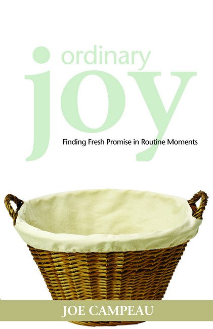 Ordinary Joy