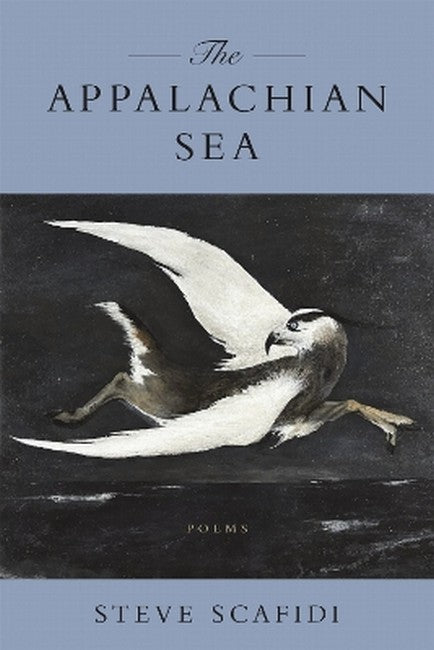 The Appalachian Sea