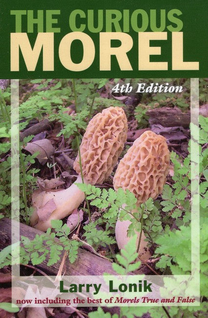 Curious Morel 4/e