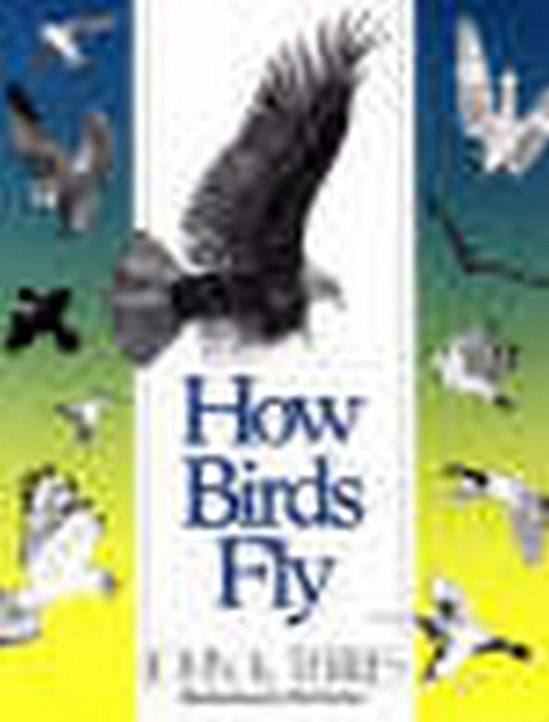How Birds Fly
