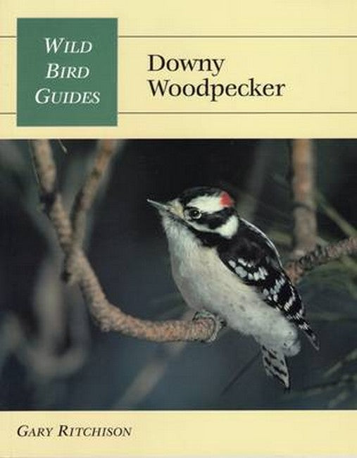 Downy Woodpecker
