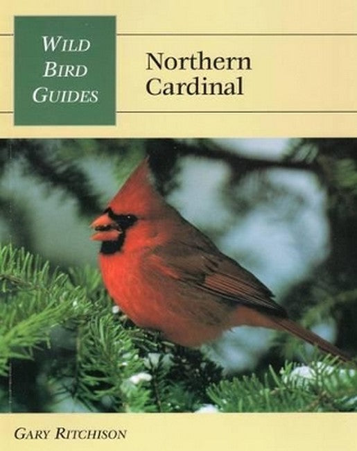Northern Cardinal