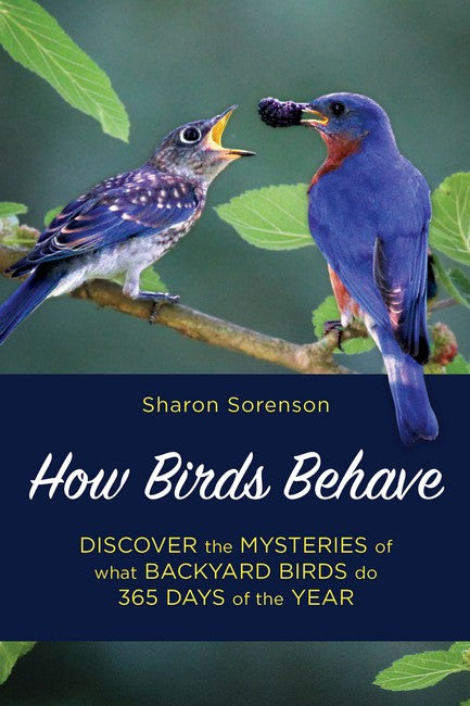 How Birds Behave