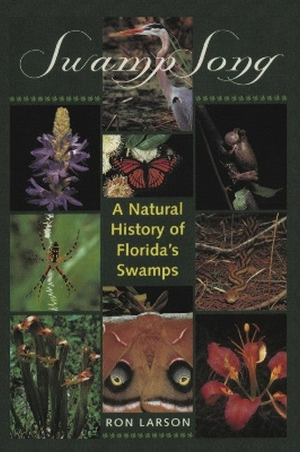 Swamp Song