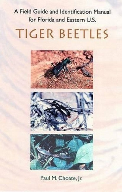 A Field Guide and Identification Manual for Florida and Eastern U.S. Tiger Beetles