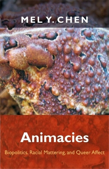 Animacies