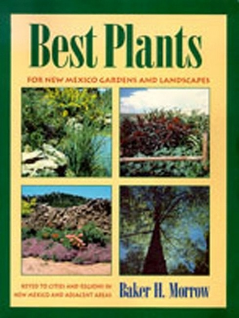 Best Plants for New Mexico Gardens and Landscapes