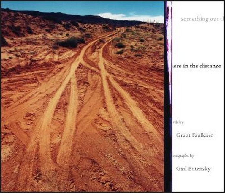 Something Out There in the Distance