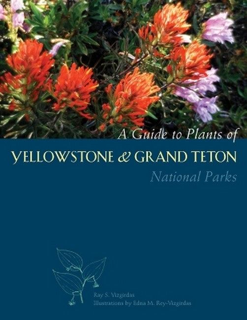 A Guide to Plants of Yellowstone and Grand Teton National Parks