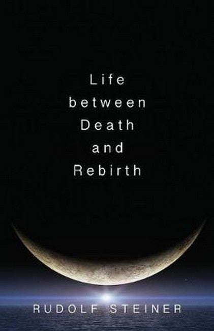 Life Between Death and Rebirth