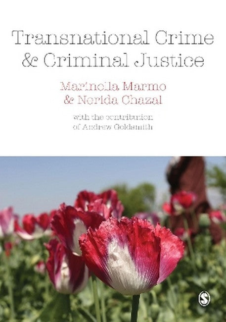Transnational Crime and Criminal Justice