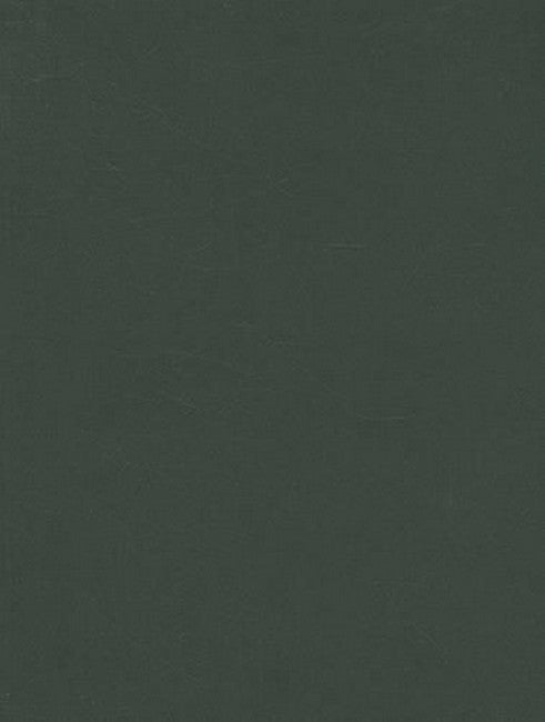 Child Protection 2/e