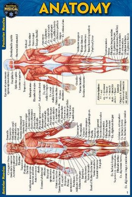 Anatomy Pocket-Sized Reference Guide (4x6 Inches) 2/e