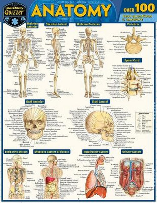 Anatomy Quizzer 2/e
