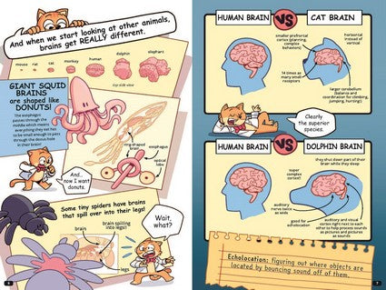 Professor Thomas Cat's Guide to Understanding the Human Brain