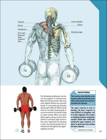 The Strength Training Anatomy Workout
