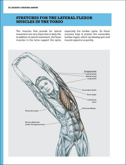 Delavier's Stretching Anatomy
