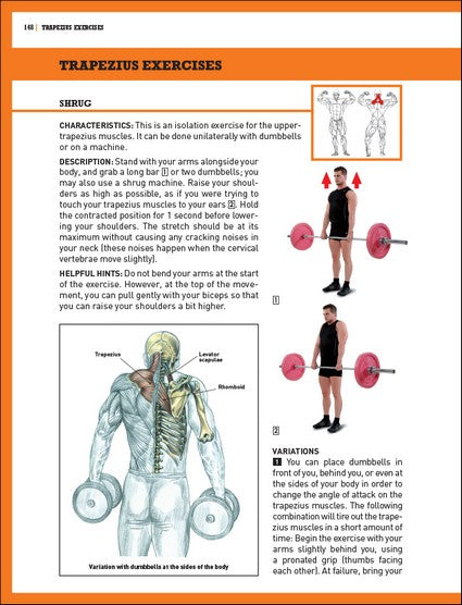The Strength Training Anatomy Workout