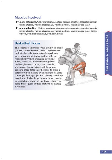 Basketball Anatomy