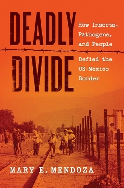 Deadly Divide
