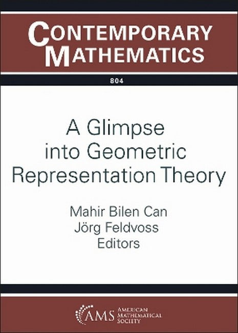 A Glimpse into Geometric Representation Theory