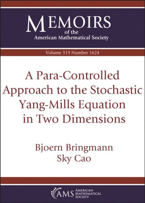 A Para-Controlled Approach to the Stochastic Yang-Mills Equation in TwoDimensions