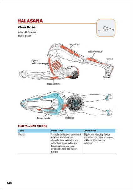 Yoga Anatomy 3/e