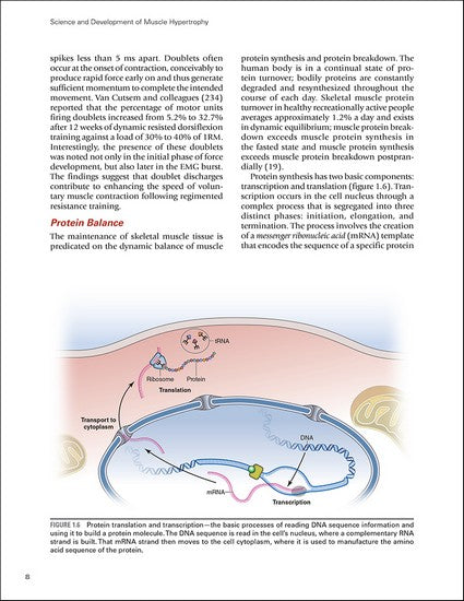 Science and Development of Muscle Hypertrophy 2/e