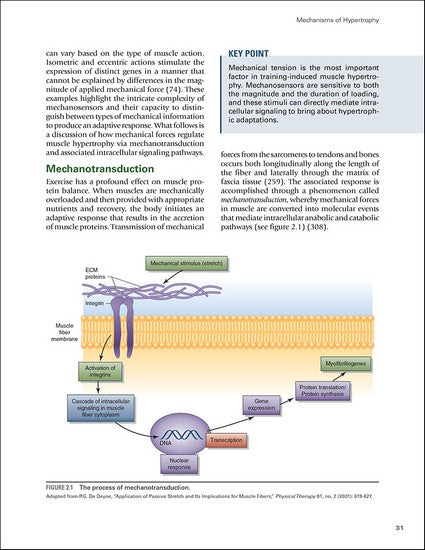 Science and Development of Muscle Hypertrophy 2/e