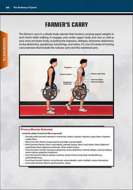 The Anatomy of Speed