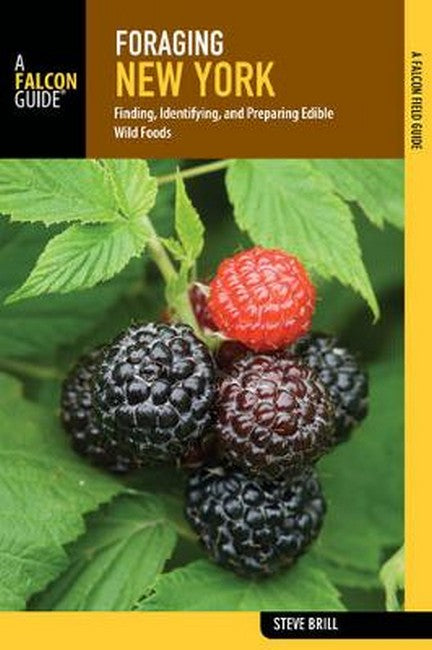 Foraging New York