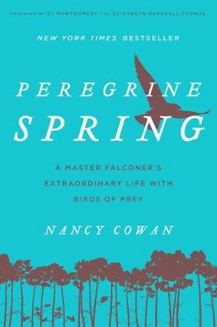 Peregrine Spring
