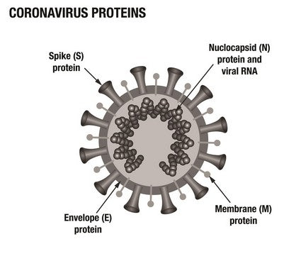 The Prepper's Guide to Surviving Pandemics, Bioterrorism, and Infectious Disease