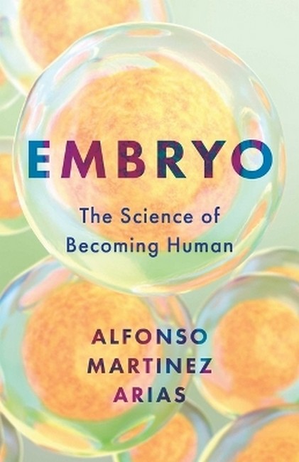 Embryo