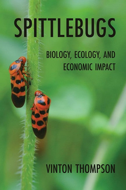 Spittlebugs