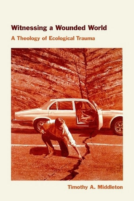 Witnessing a Wounded World