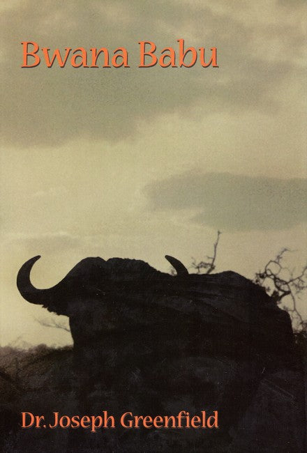 Bwana Babu