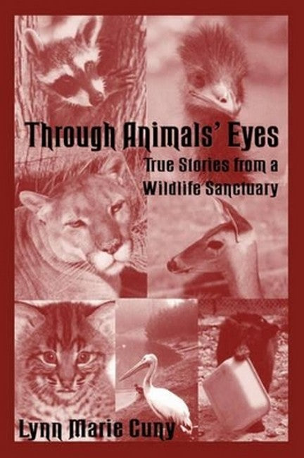 Through Animal's Eyes