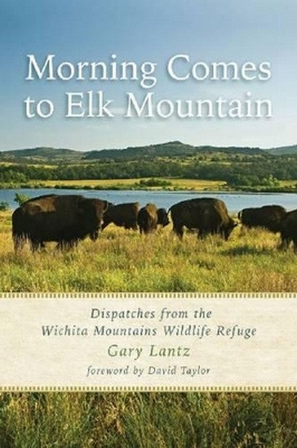 Morning Comes to Elk Mountain