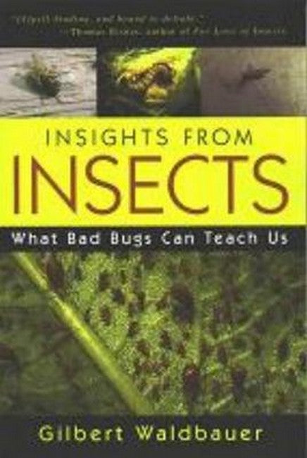 Insights From Insects